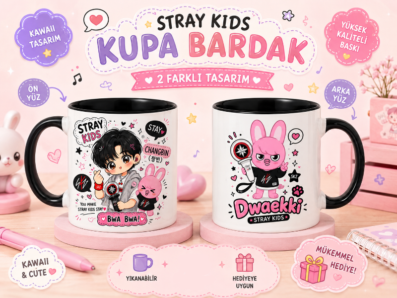 Stray Kids Kupa Bardak – 2 Farklı Tasarımlı Kawaii Chibi Kupa